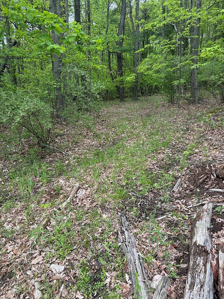 0 Orange Hill Rd Athens, PA 18810 | Land/Lot