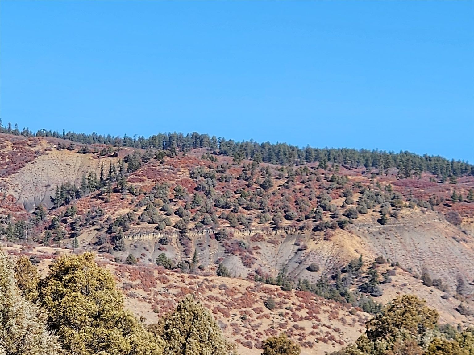 13849 State Hwy #64 Dulce, NM 87528 - Thumbnail 5