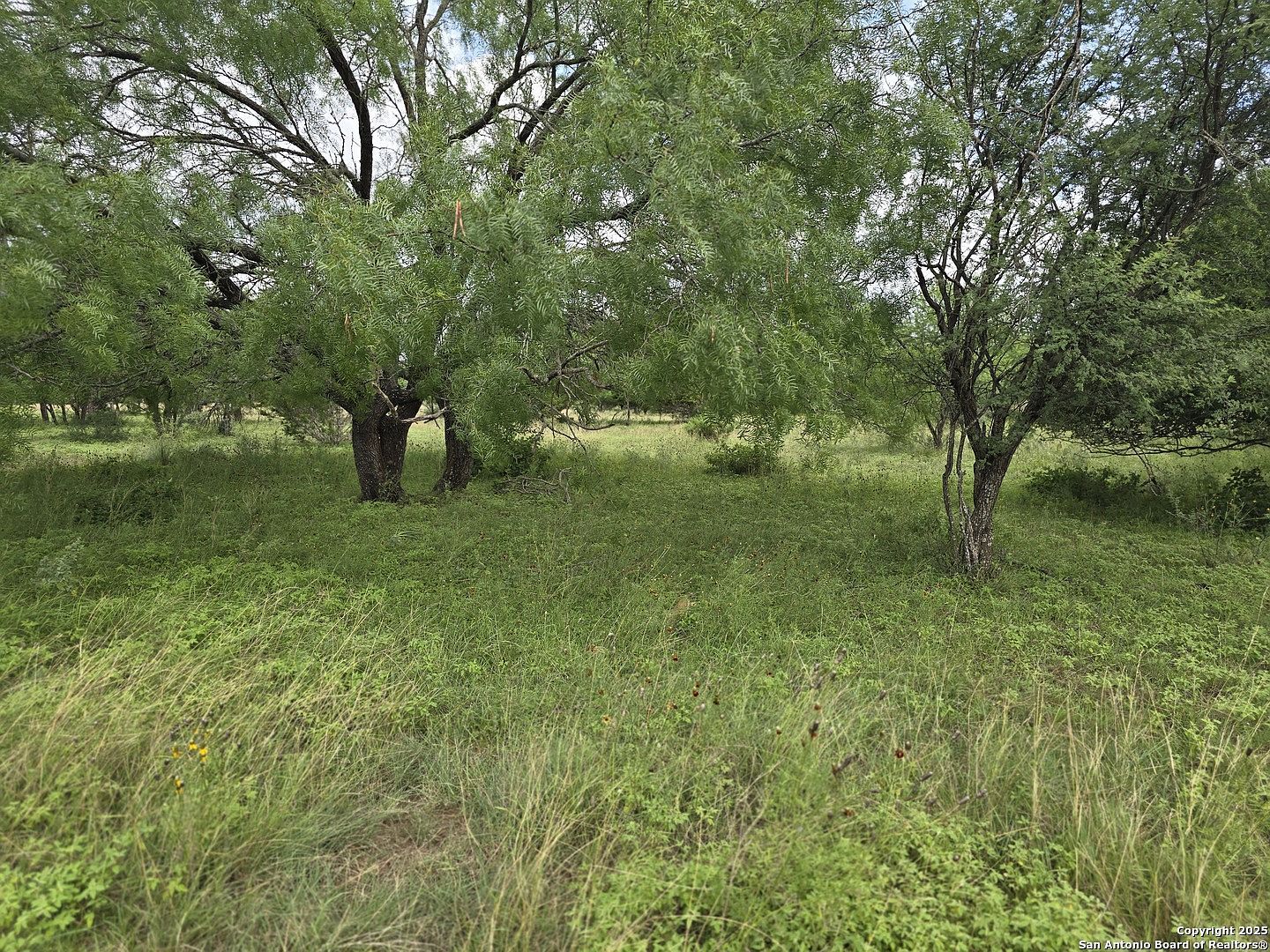 22 Cypress St #24 Bandera, TX 78003 - Thumbnail 5