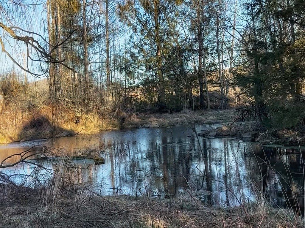 776 Teas Rd Sugar Grove, VA 24375 - Thumbnail 5