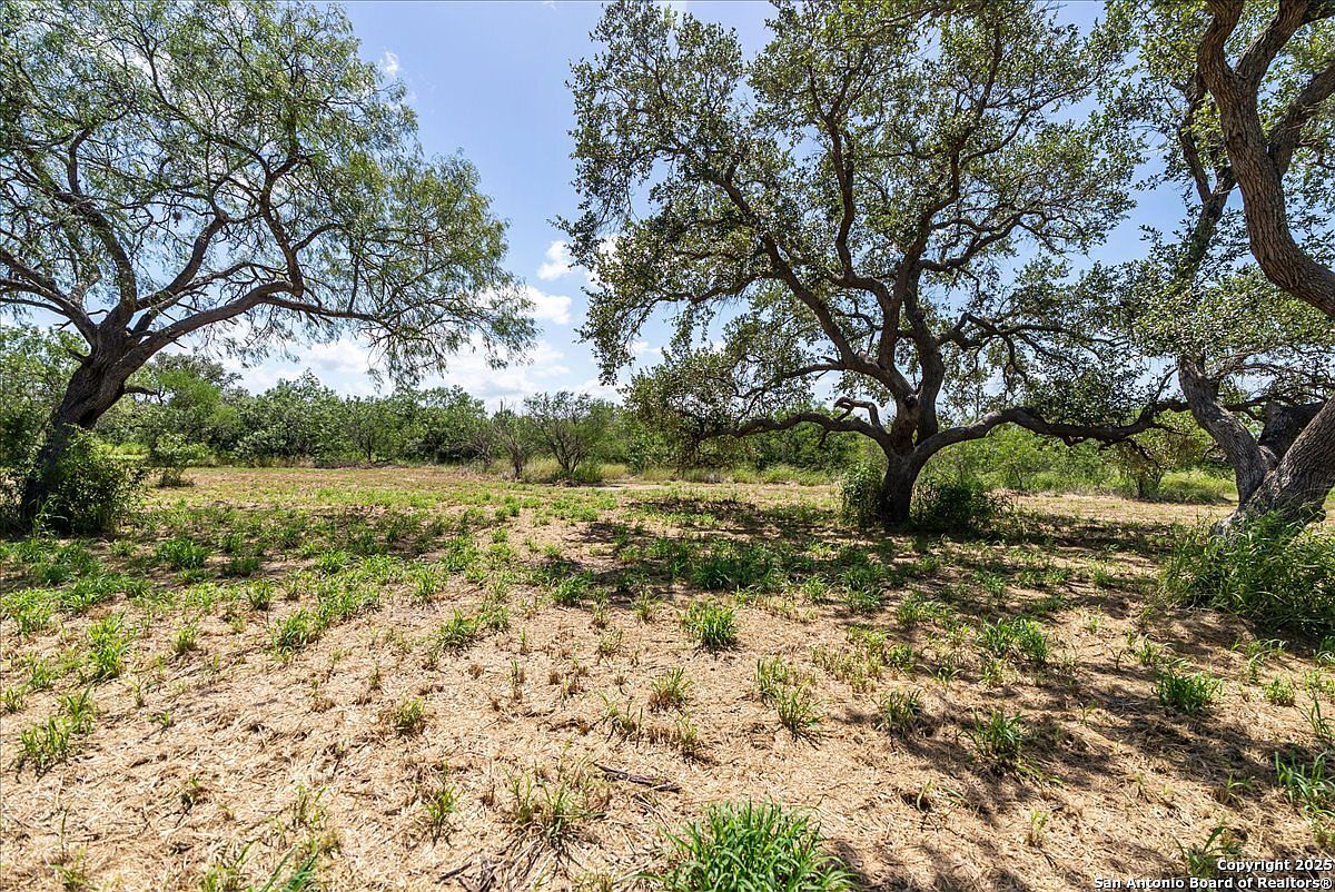 0 Off Hwy S #181-3 Skidmore, TX 78389 - Thumbnail 5