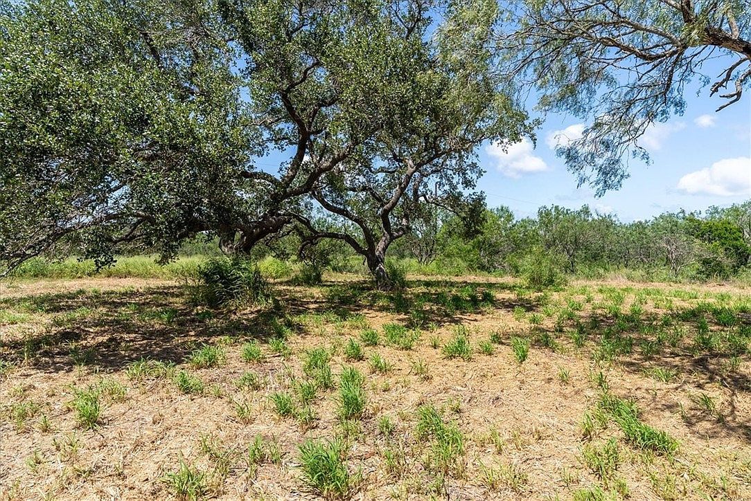 0 Off Hwy #181-S Skidmore, TX 78389 - Thumbnail 5