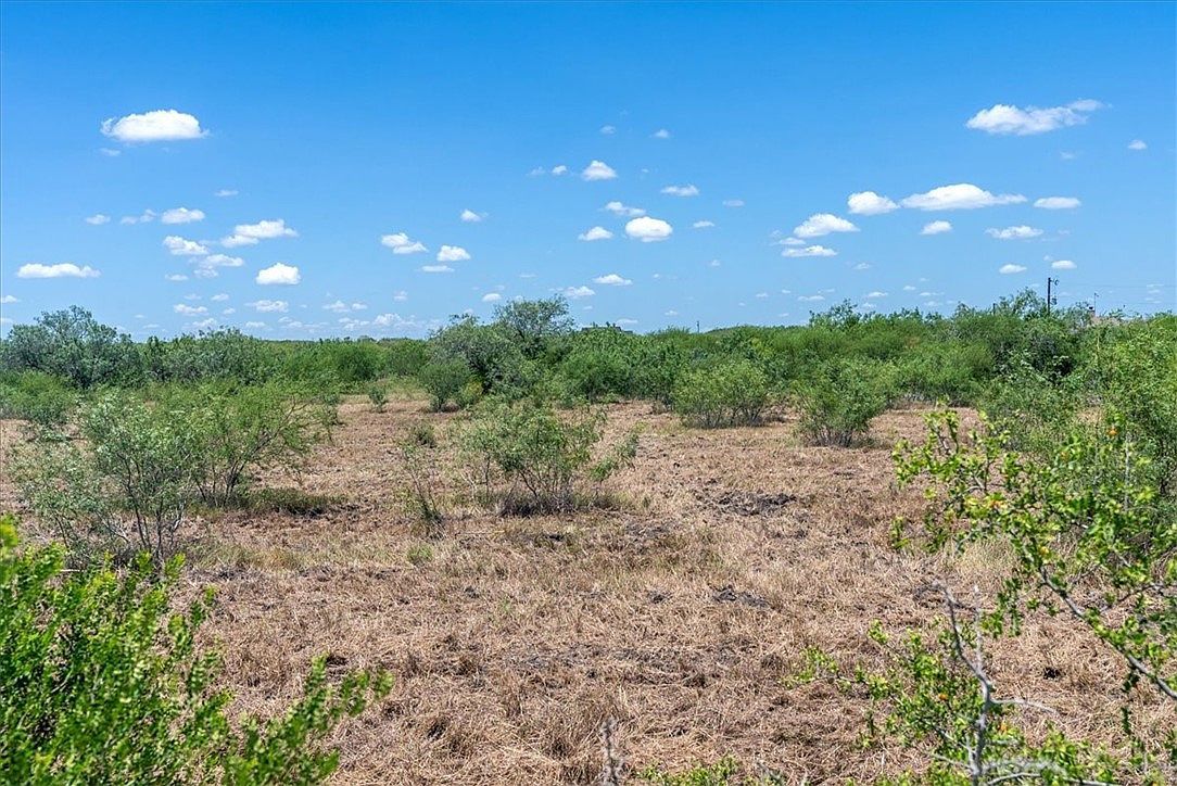 253 County Road 222 Orange Grove, TX 78372 - Thumbnail 5