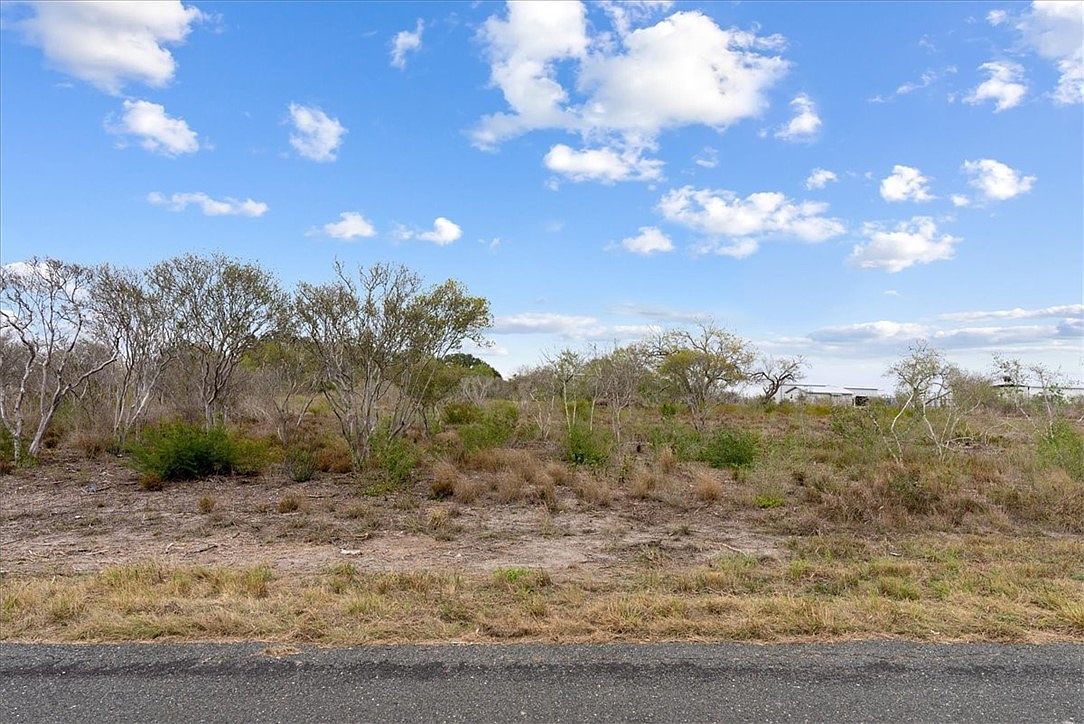 0 Quail Ridge Run Three Rivers, TX 78071 - Thumbnail 5