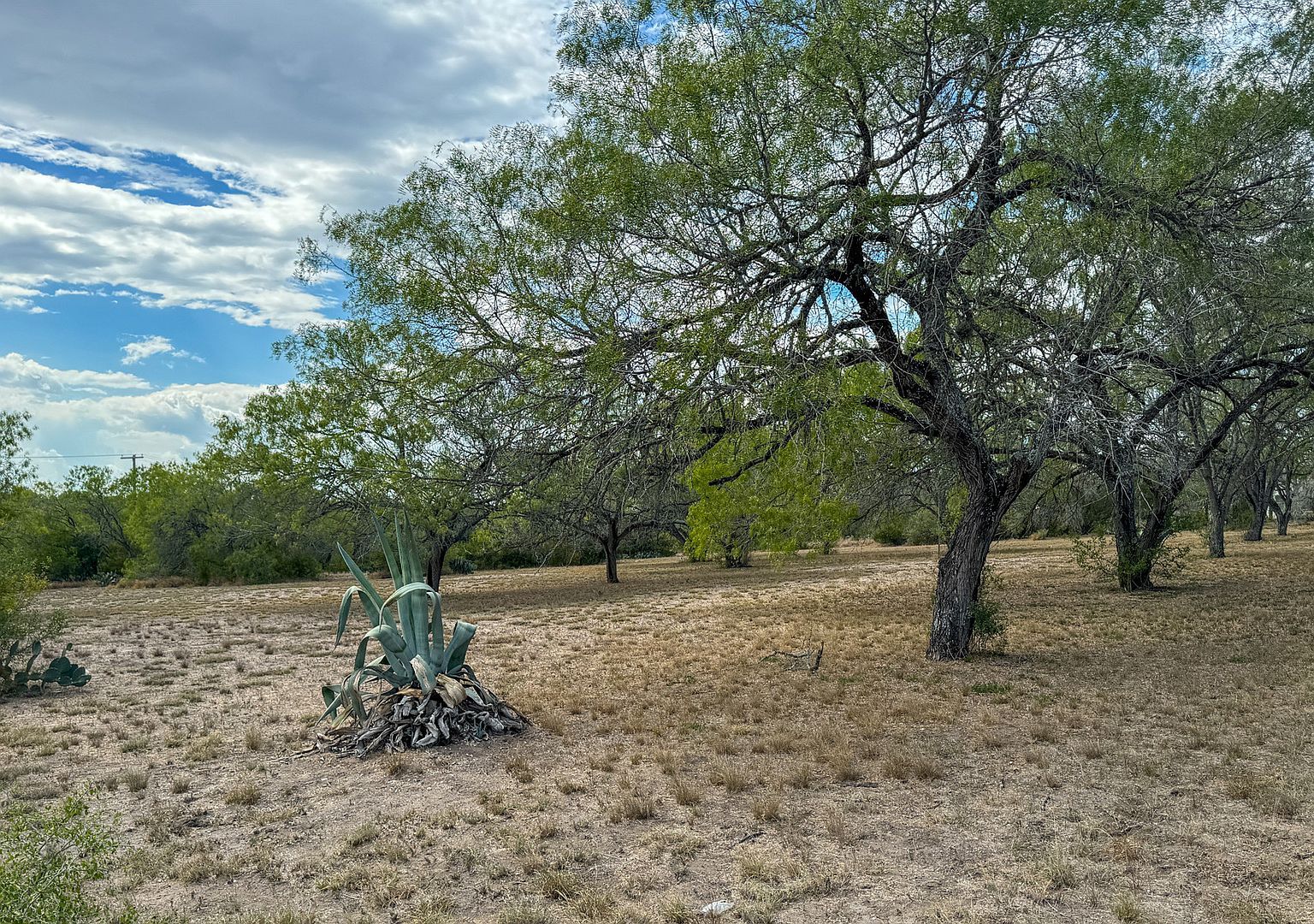 153 County Road 312 #3 George West, TX 78022 - Thumbnail 5