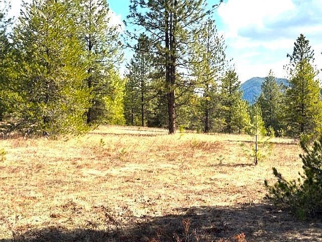 35XX Mountainview Rd Chewelah, WA 99109 - Thumbnail 5