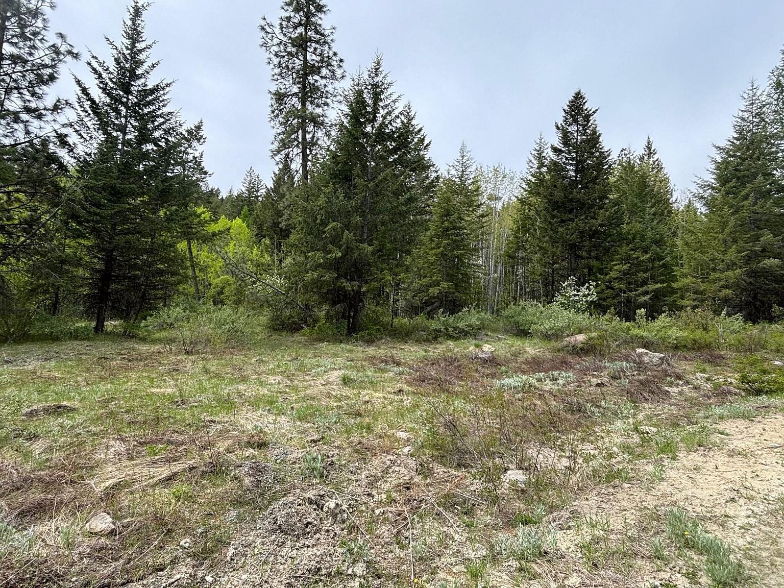 1XX Rocky Canyon Rd #3629220014 Tonasket, WA 98855 - Thumbnail 5