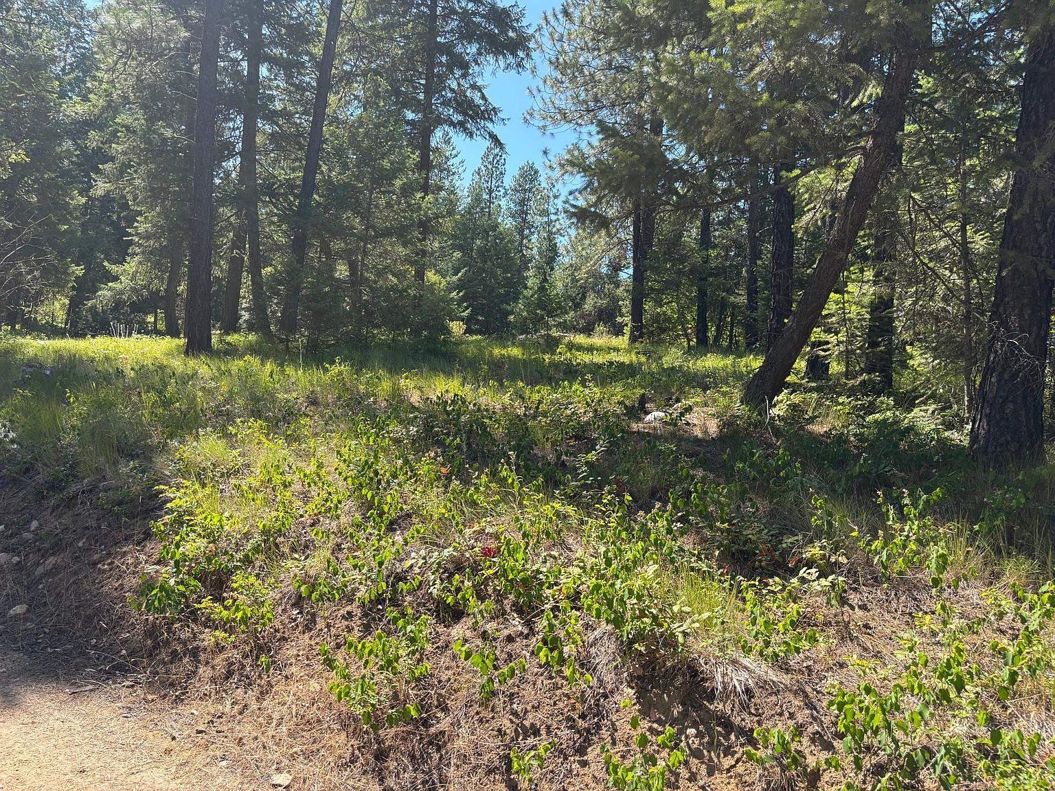 34711 N Waldrons Ln #49311.9012 Chattaroy, WA 99003 - Thumbnail 5