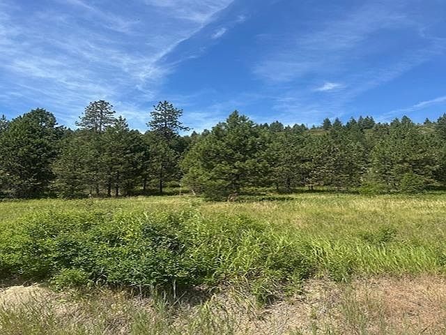 46XX Springdale Hunters Rd Springdale, WA 99173 - Thumbnail 5