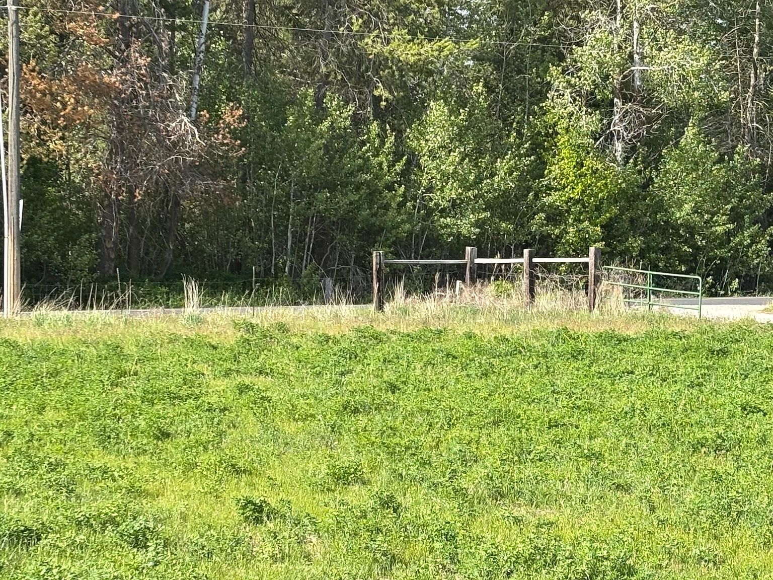 46XX Bittrich Antler Rd Deer Park, WA 99006 - Thumbnail 5