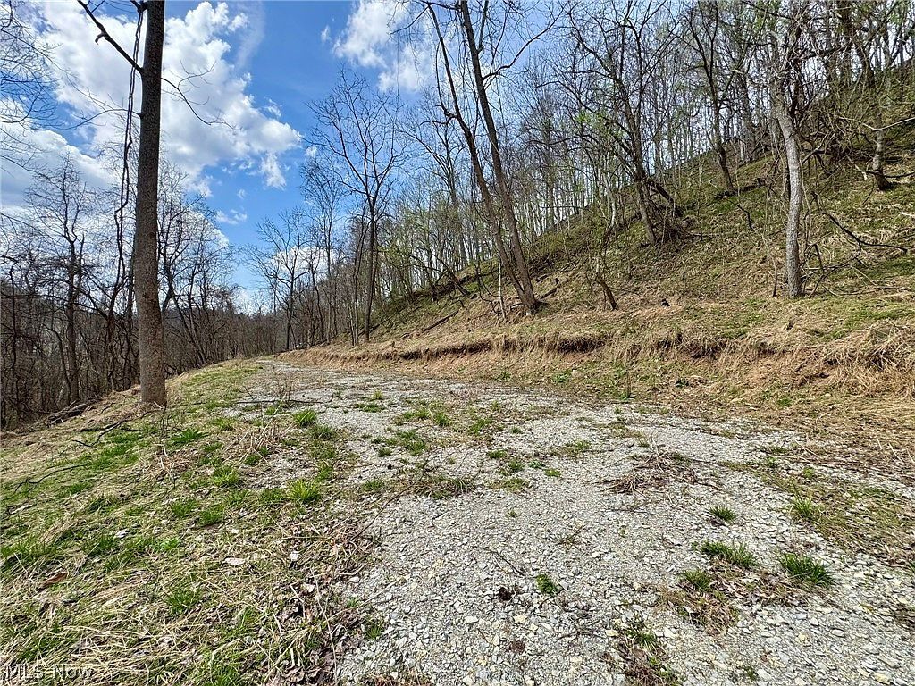 1536 Jakes Fork Rd Arnoldsburg, WV 25234 - Thumbnail 5