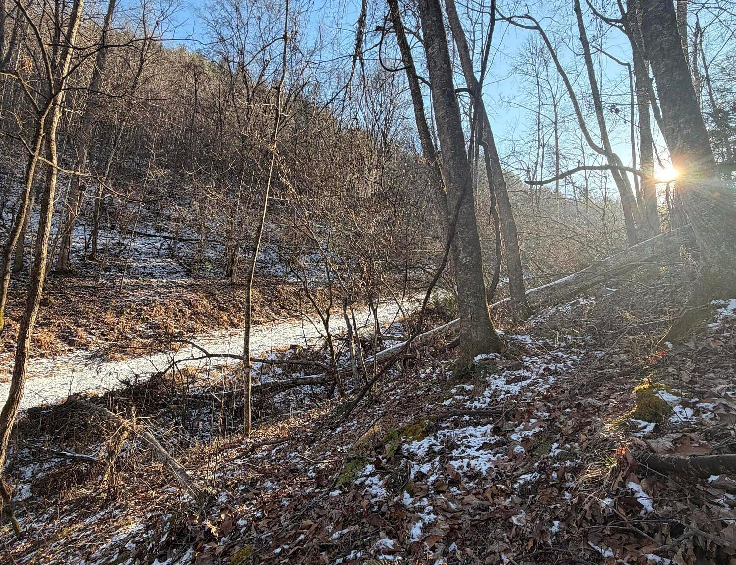 Williams Ln Butler, TN 37640 - Thumbnail 5