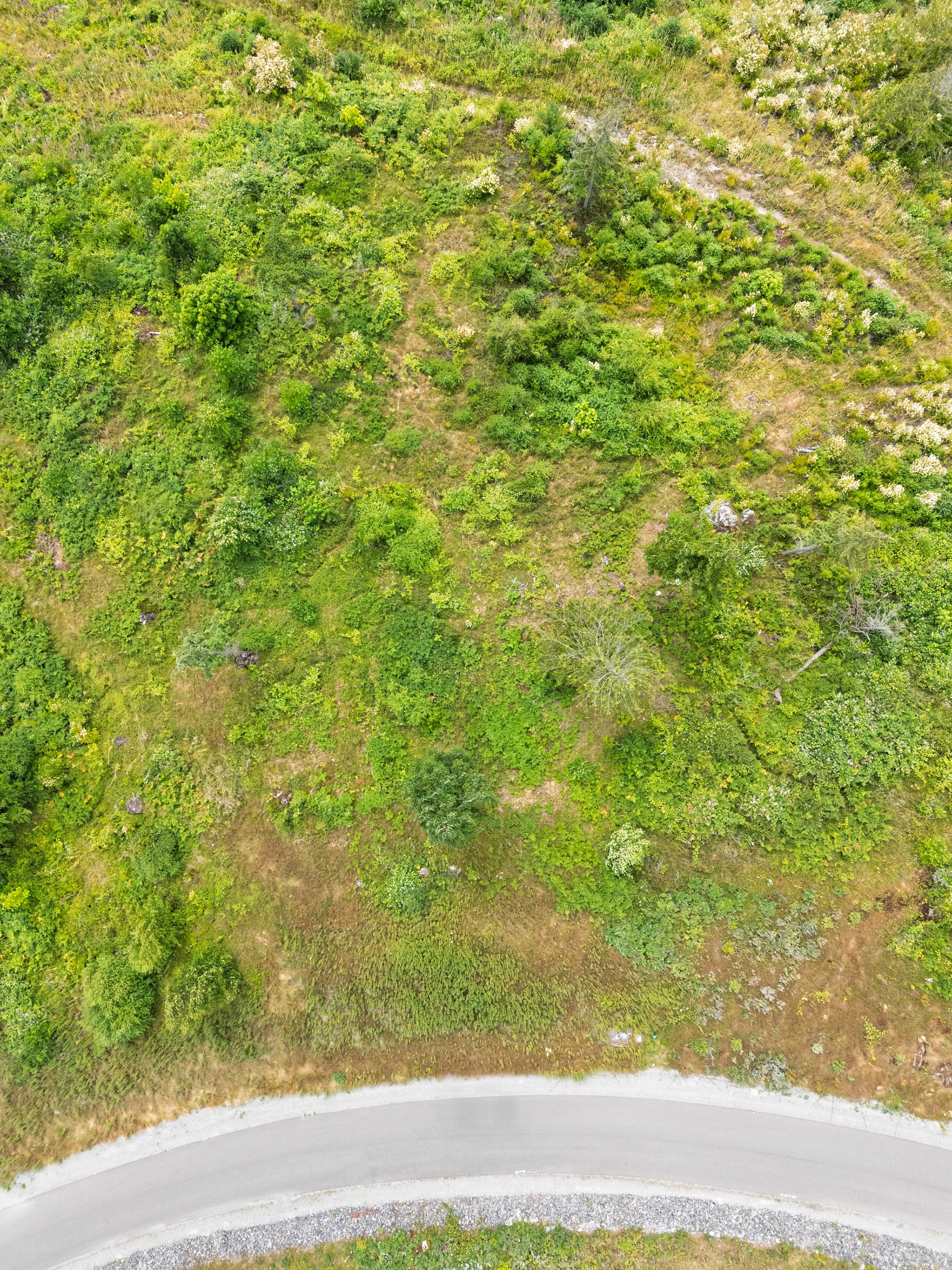 3284 Blanchard Knob Trl, Burlington, WA, USA, 98233 - Thumbnail 5