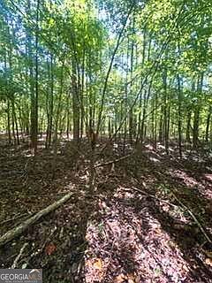 2607 Hughes Rd Bowman, GA 30624 - Thumbnail 5