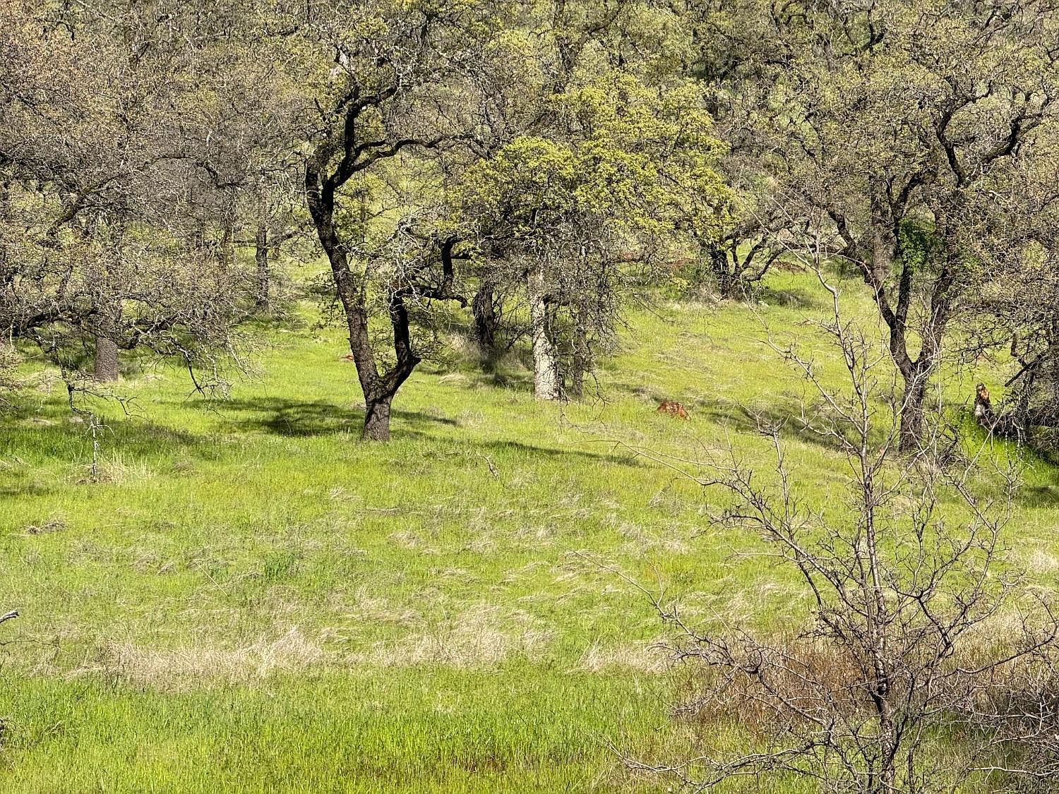 0 Castillo Way, La Grange, CA, 95329 - Thumbnail 5