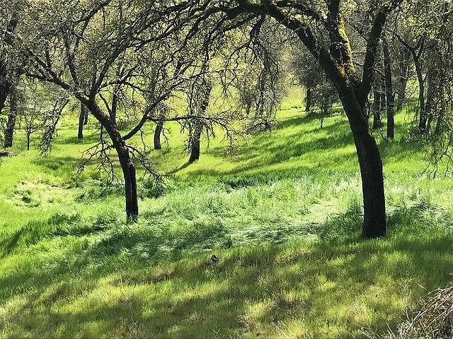 679 Zarzamora St, La Grange, CA, 95329 - Thumbnail 5