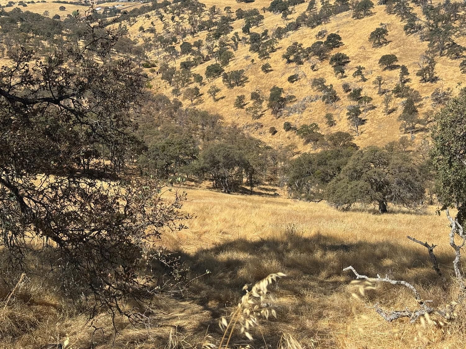 9553 Coronado Dr La Grange, CA 95329 - Thumbnail 5