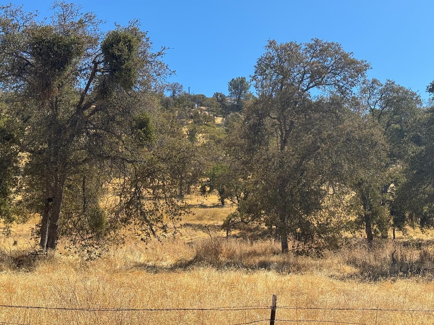 837 Castillo Way La Grange, CA 95329 - Thumbnail 5