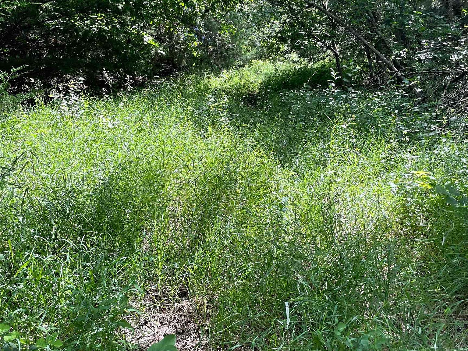 Crooked Oaks Crofton, NE 68730 - Thumbnail 5