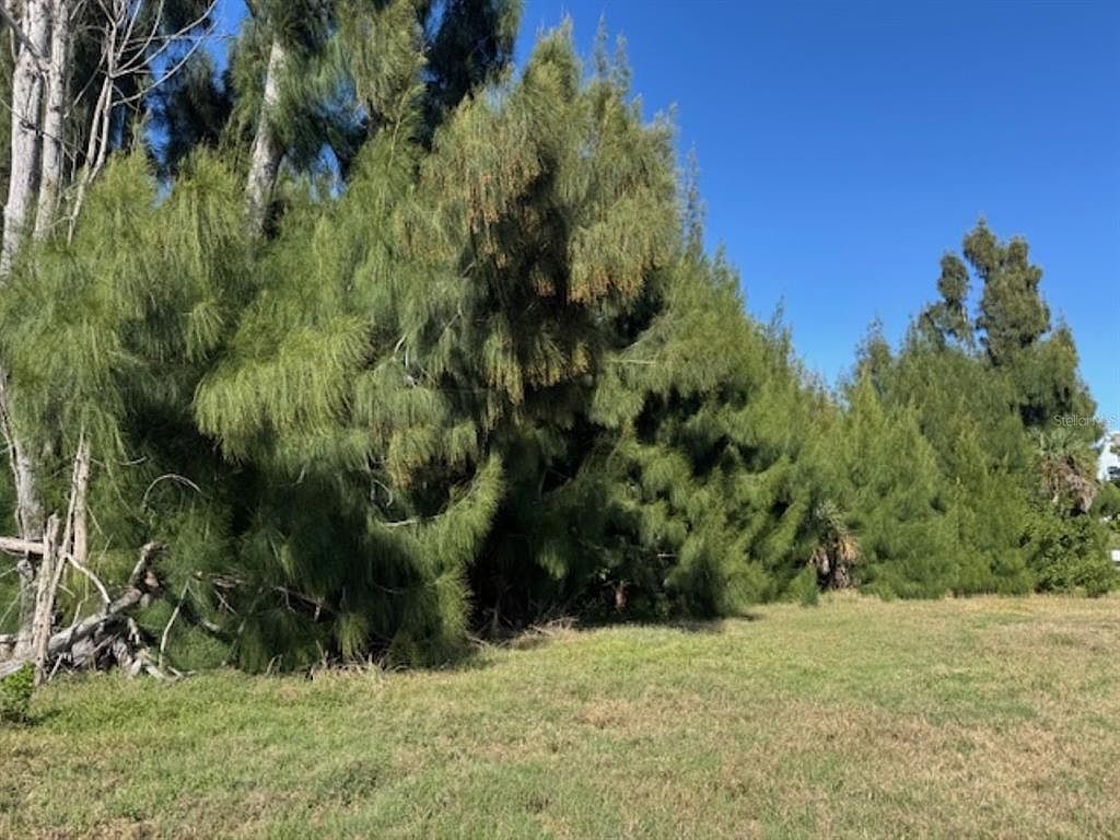 75 Green Dolphin Dr N #7 Placida, FL 33946 - Thumbnail 5