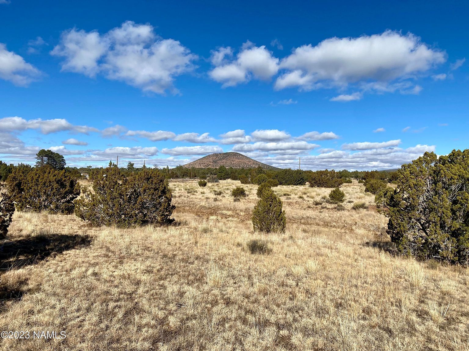 1413 E Alimos Way #136 Williams, AZ 86046 - Thumbnail 5