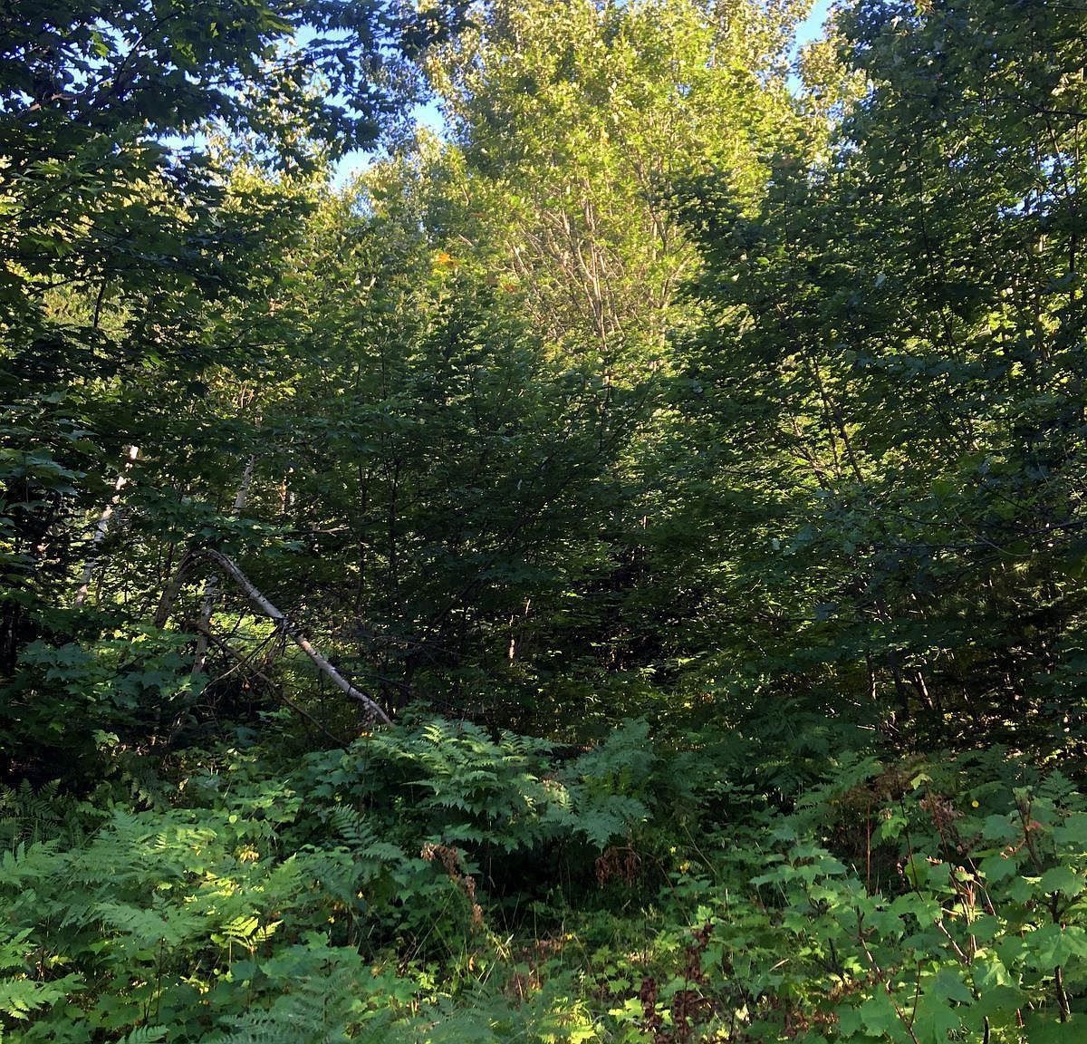 360 E Us41/m28 Hwy Negaunee, MI 49866 - Thumbnail 5