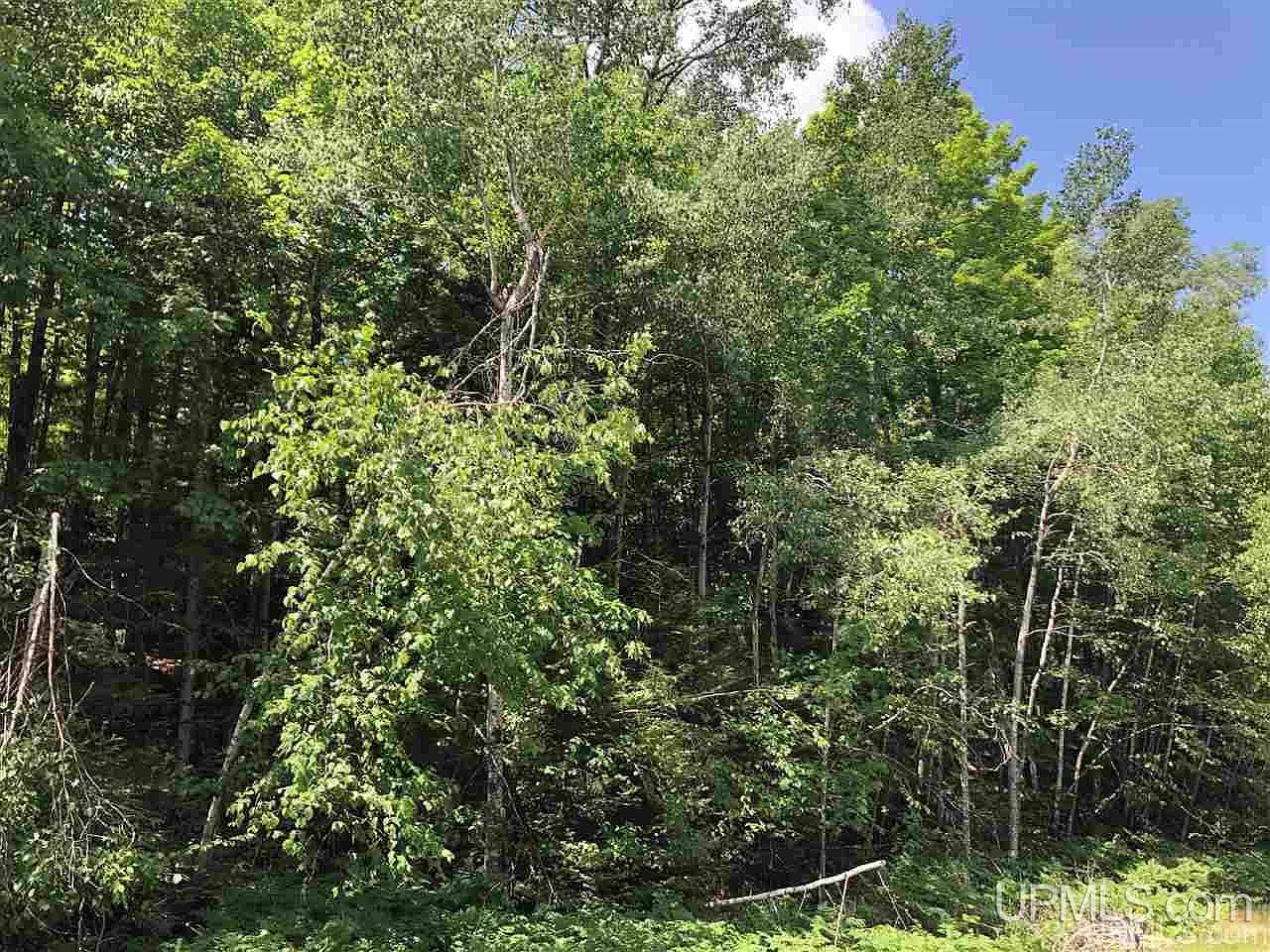 0 N Maplewood Rd Gwinn, MI 49841 - Thumbnail 5