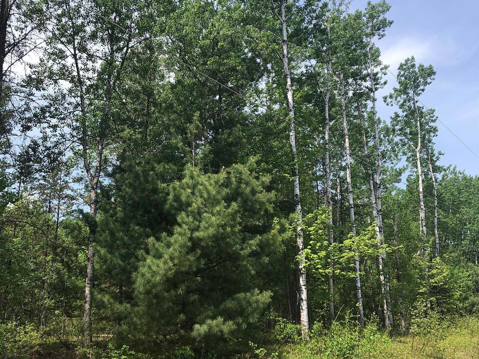 192 W Johnson Lake Rd Gwinn, MI 49841 - Thumbnail 5