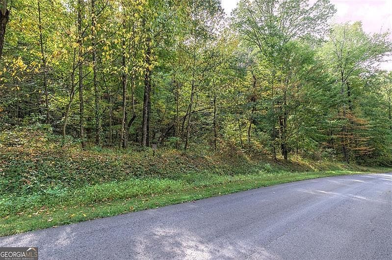 0 Mountainside Pkwy #127 Ellijay, GA 30536 - Thumbnail 5