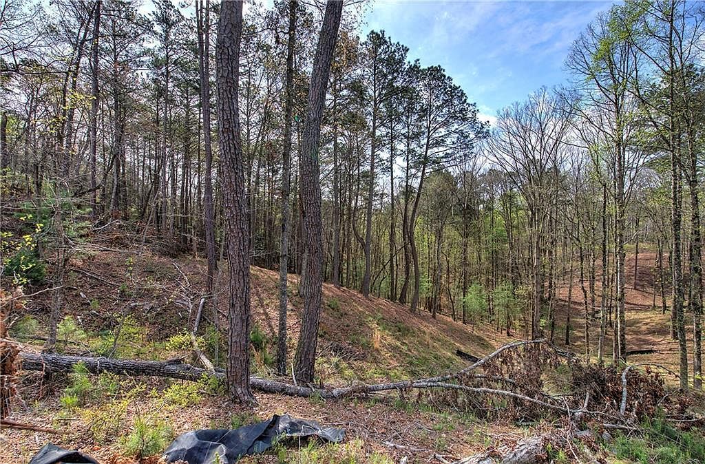 259 High River Rd #259 Ellijay, GA 30540 - Thumbnail 5