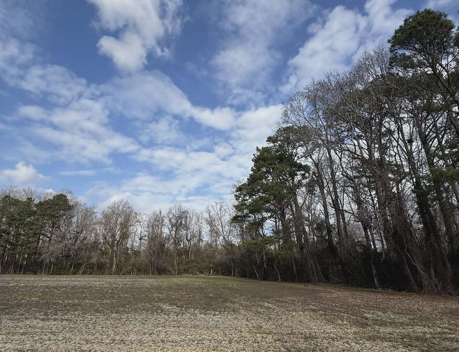 0 Starlight Ln Maysville, NC 28555 - Thumbnail 5