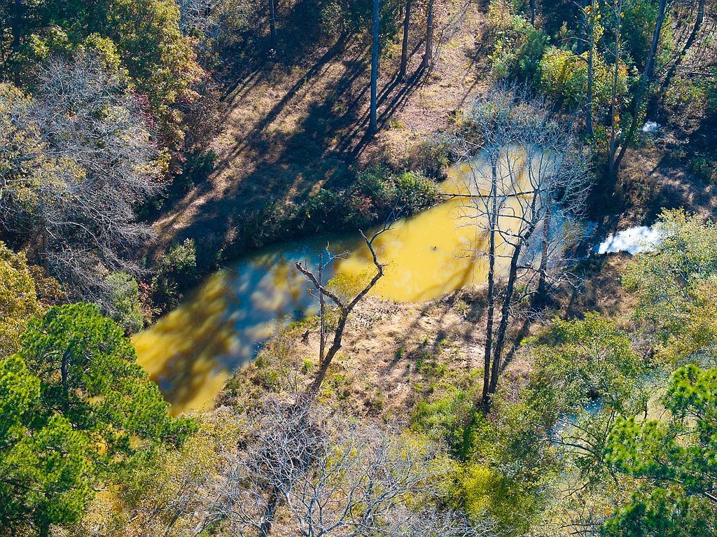 0 An County Rd #153 Palestine, TX 75801 - Thumbnail 5