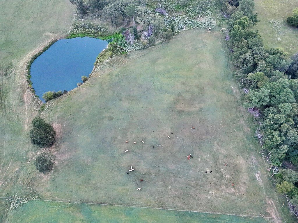 0 An County Rd #169 Elkhart, TX 75839 - Thumbnail 5