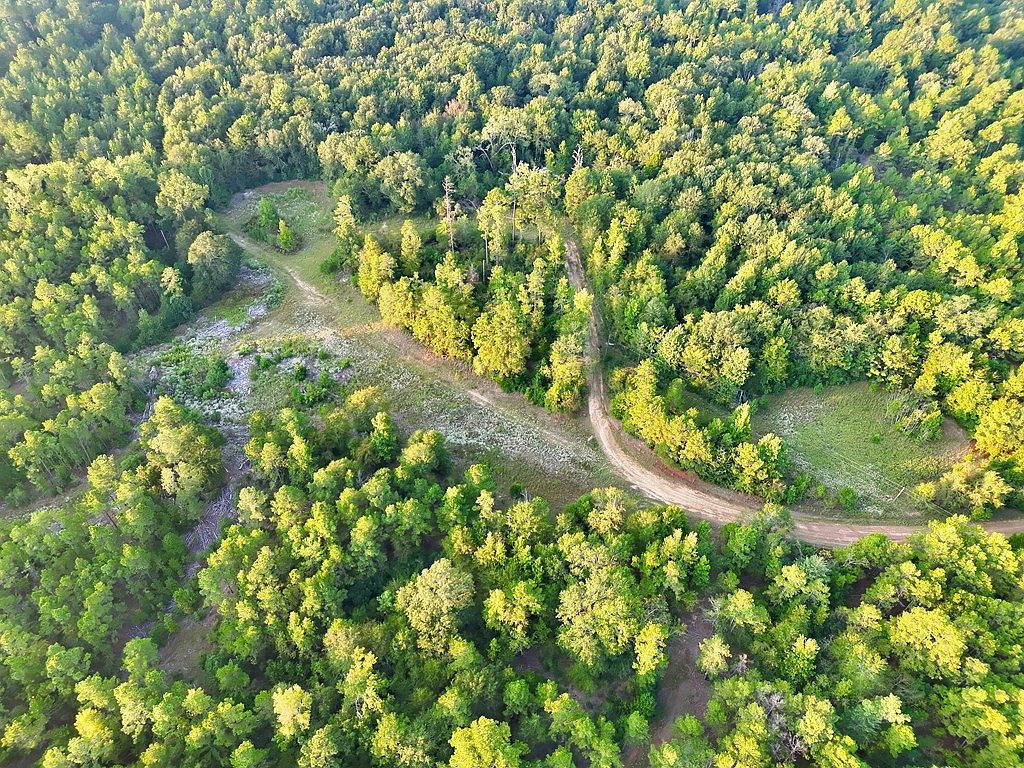 0 An County Rd #104 Elkhart, TX 75839 - Thumbnail 5