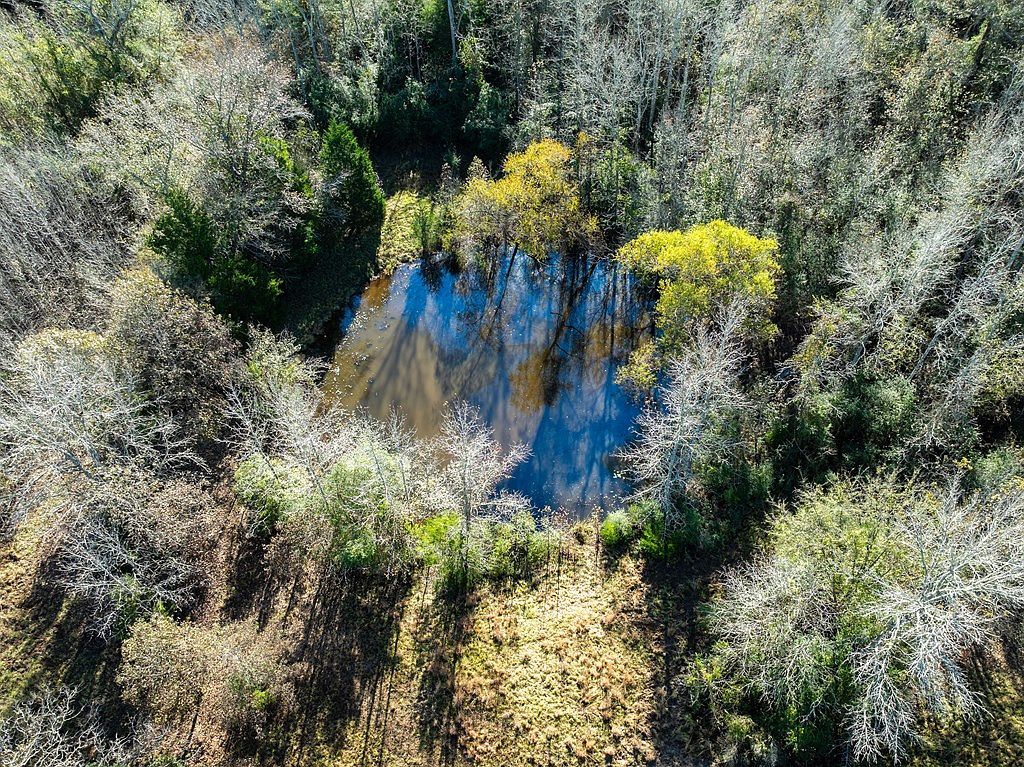 Fm 831 Oakwood, TX 75855 - Thumbnail 5