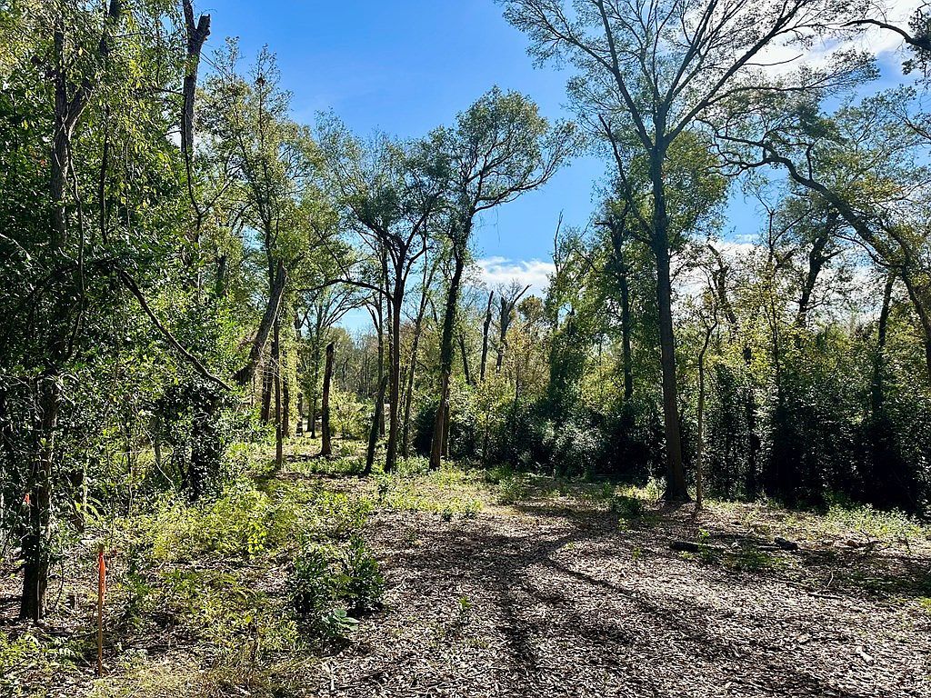 0 Marion St Palestine, TX 75803 - Thumbnail 5