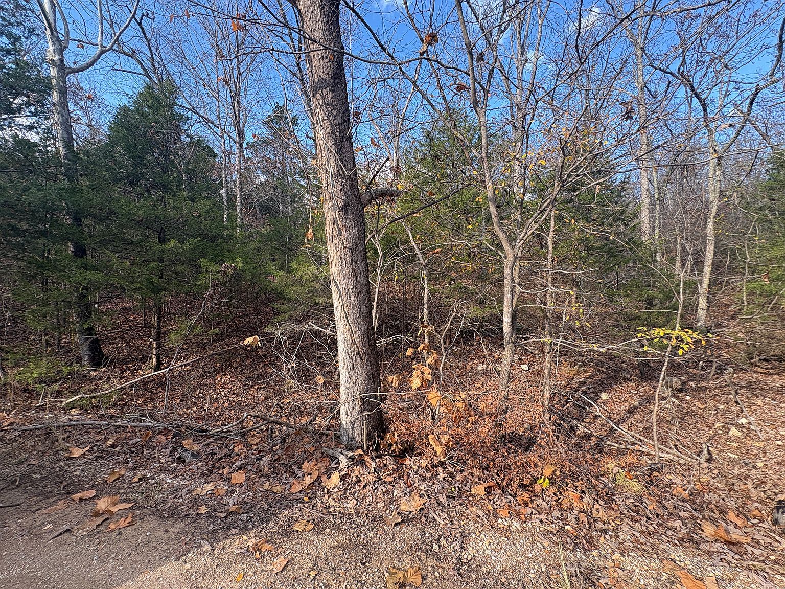 Crystal Oaks Trl TRACT D Gamaliel, AR 72537  | Land/Lot