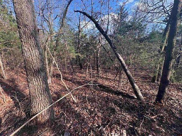 TRACT C & D Hwy #101 Gamaliel, AR 72537 - Thumbnail 5