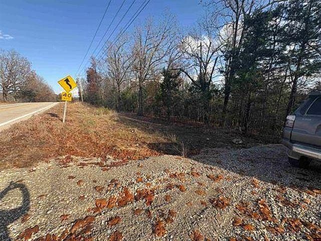 TRACT Highway 101 #B Gamaliel, AR 72537 - Thumbnail 5