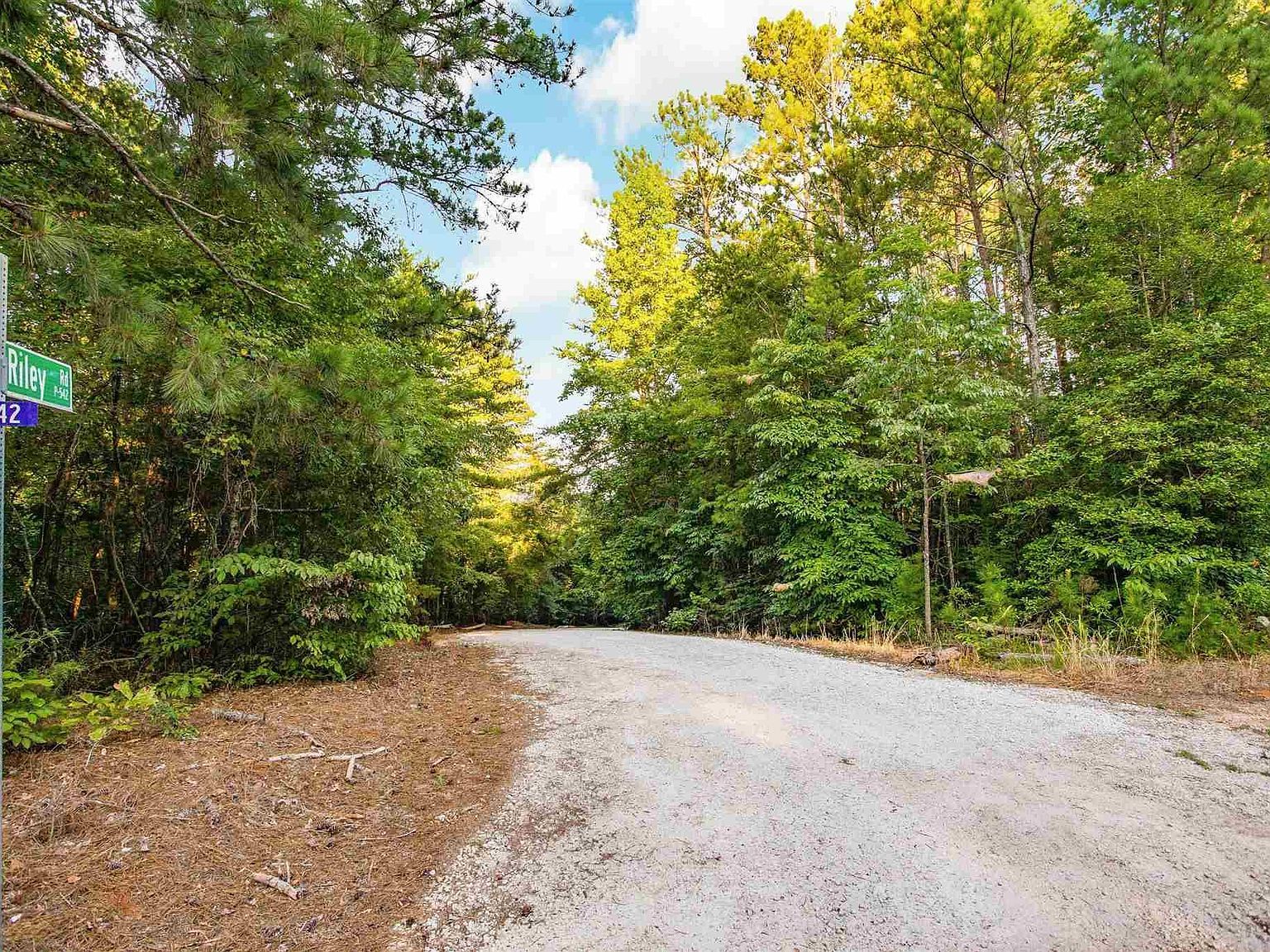 0 Riley Rd LOT 29 Seneca, SC 29678 - Thumbnail 5