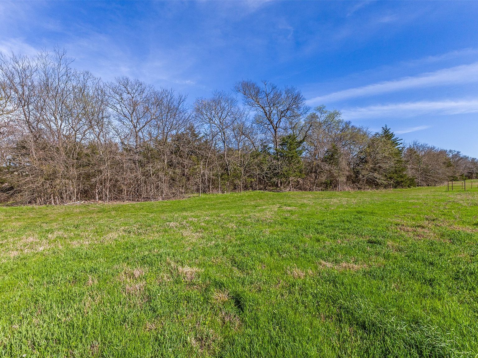 TRACT 5 Private Road 6040 Blue Ridge, TX 75424 - Thumbnail 5