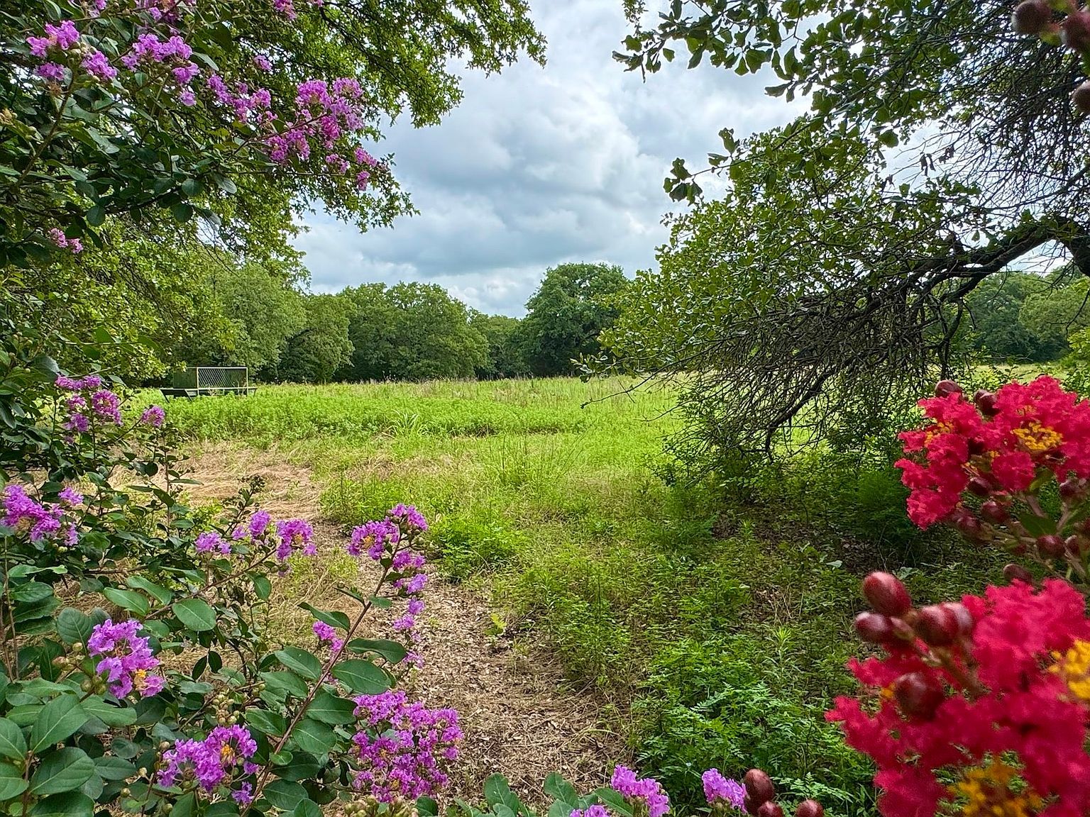 9213 Scenic Dr Pilot Point, TX 76258 - Thumbnail 5