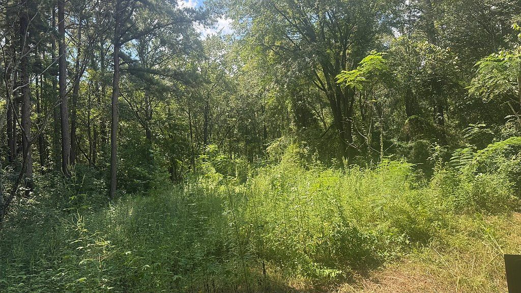 194 An County Rd #334 Palestine, TX 75803 - Thumbnail 5