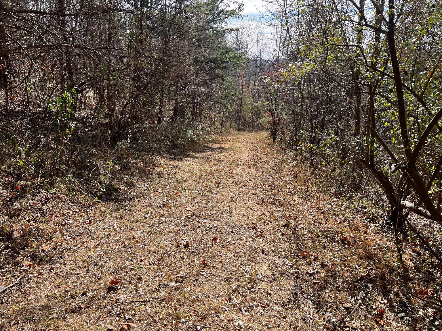 1297 Highway 191 West Liberty, KY 41472 - Thumbnail 5