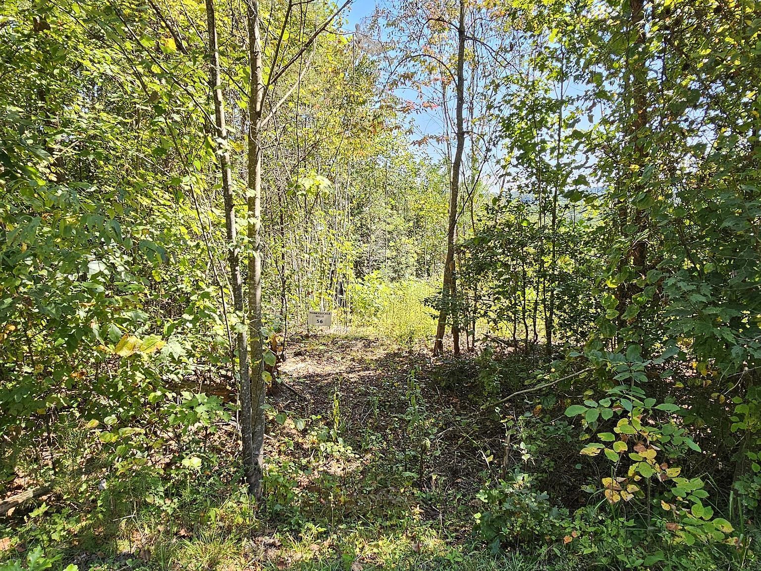 LOT 56 Billings Hill Church Rd Traphill, NC 28685 - Thumbnail 5