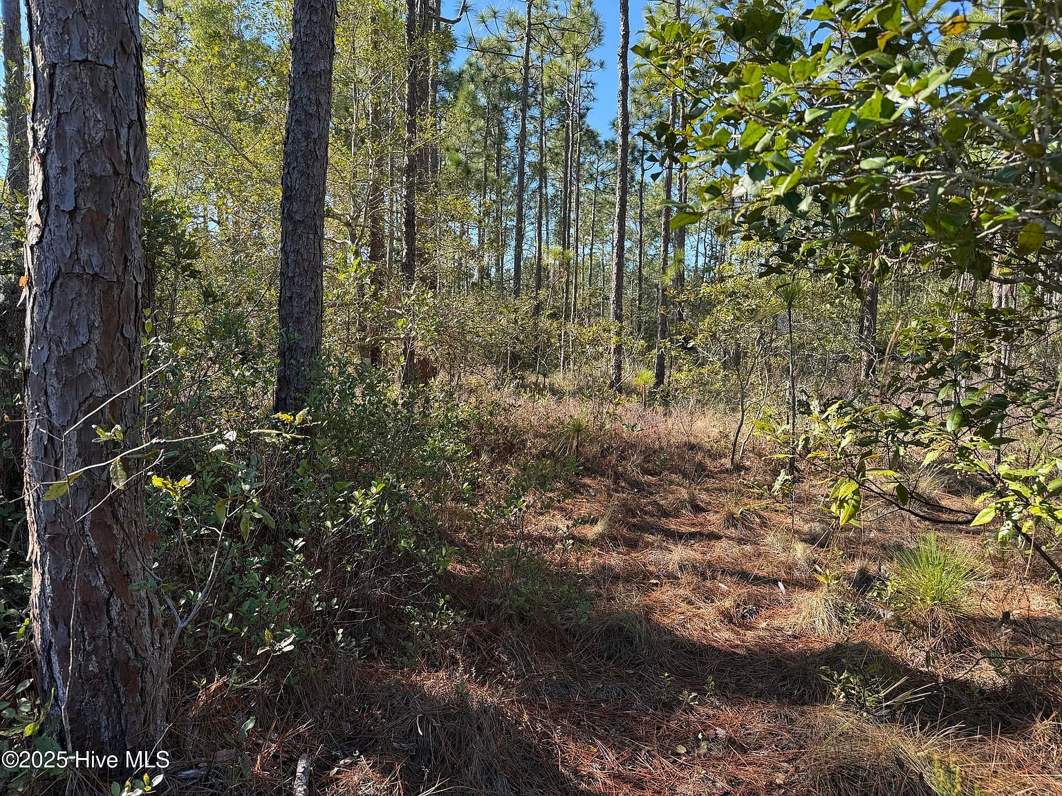 100 Bridges Rd Southport, NC 28461 - Thumbnail 5