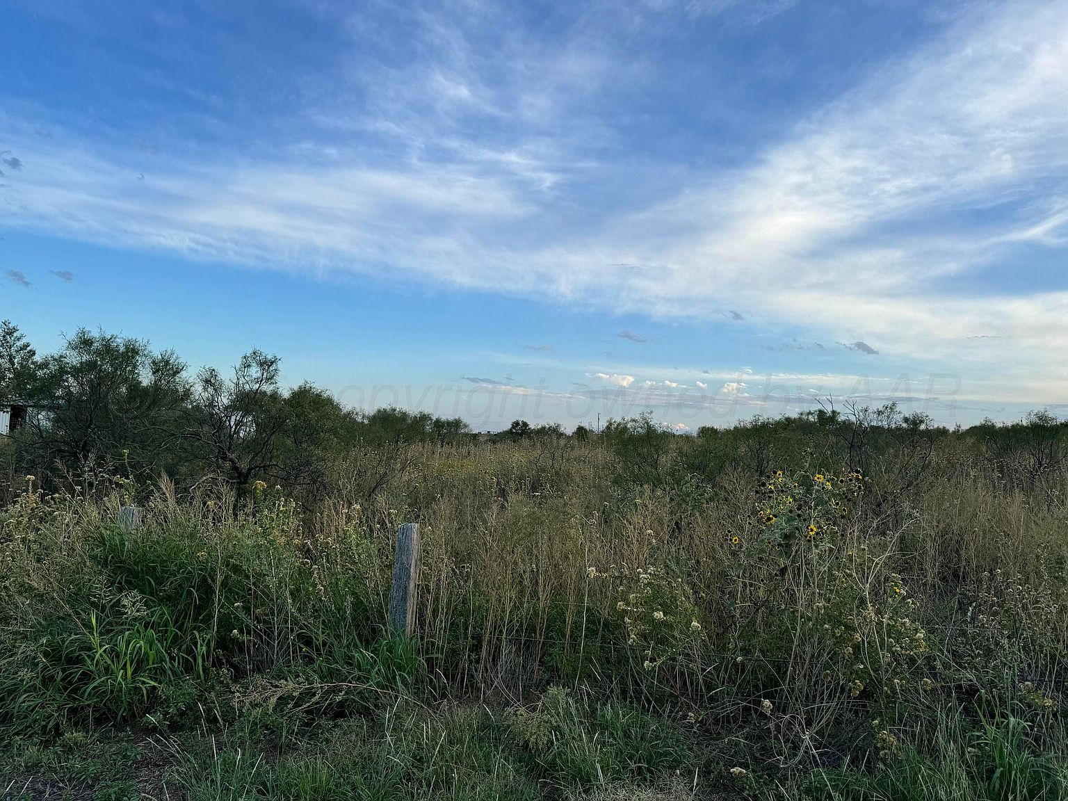 6601 Miller Rd Amarillo, TX 79108 | Single Family