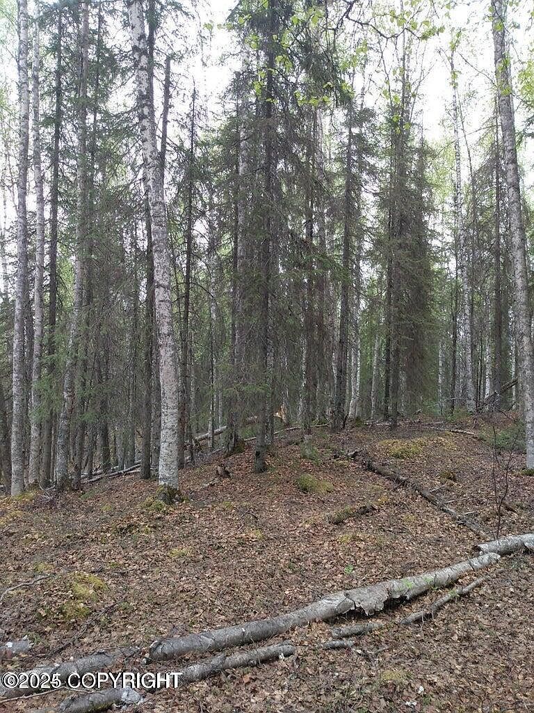Township Road E No Rd Big Lake, AK 99652 - Thumbnail 5