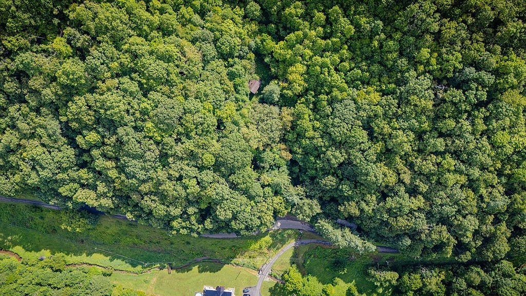 Tbd Lynn Springs Rd Swords Creek, VA 24649  | Land/Lot