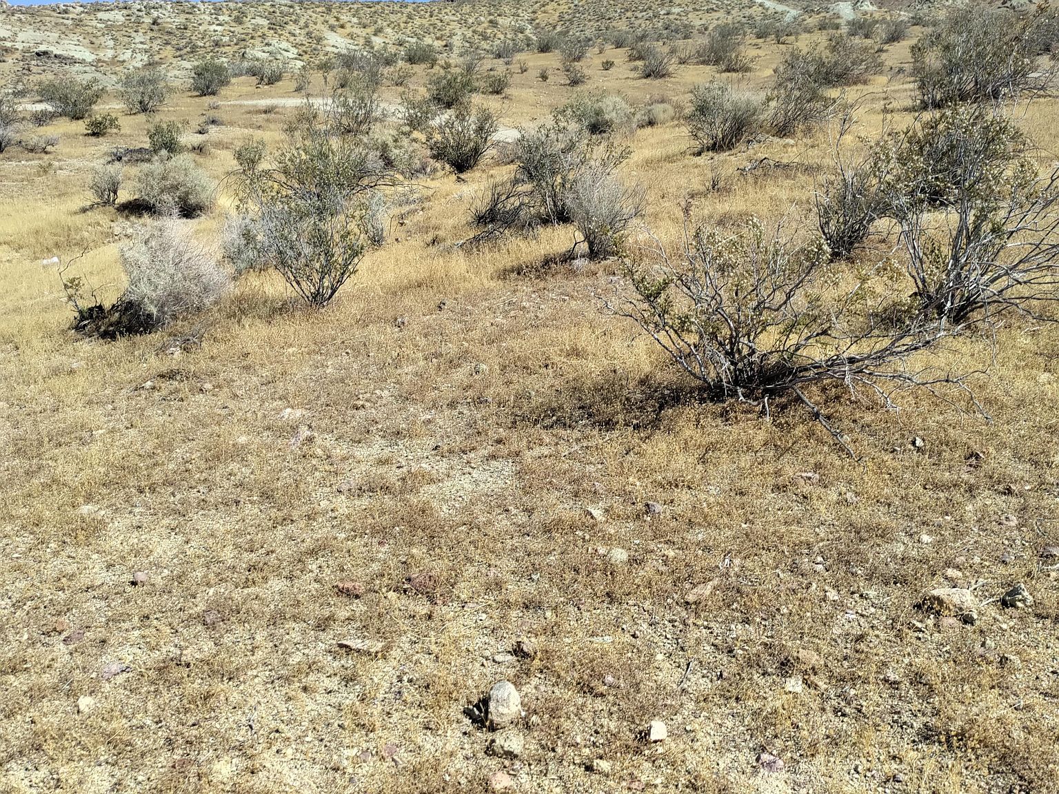 Clark St Rosamond, CA 93560 - Thumbnail 5